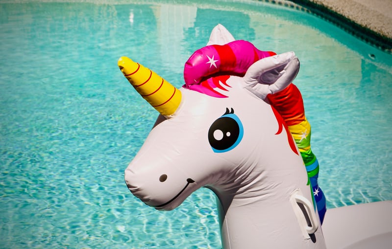 Unicorn Float